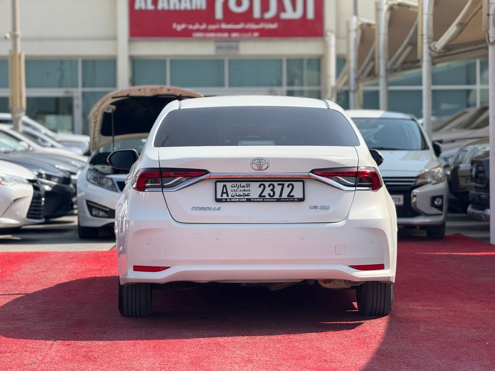 6dcae96e-fb96-4f52-944e-e12786d11e16